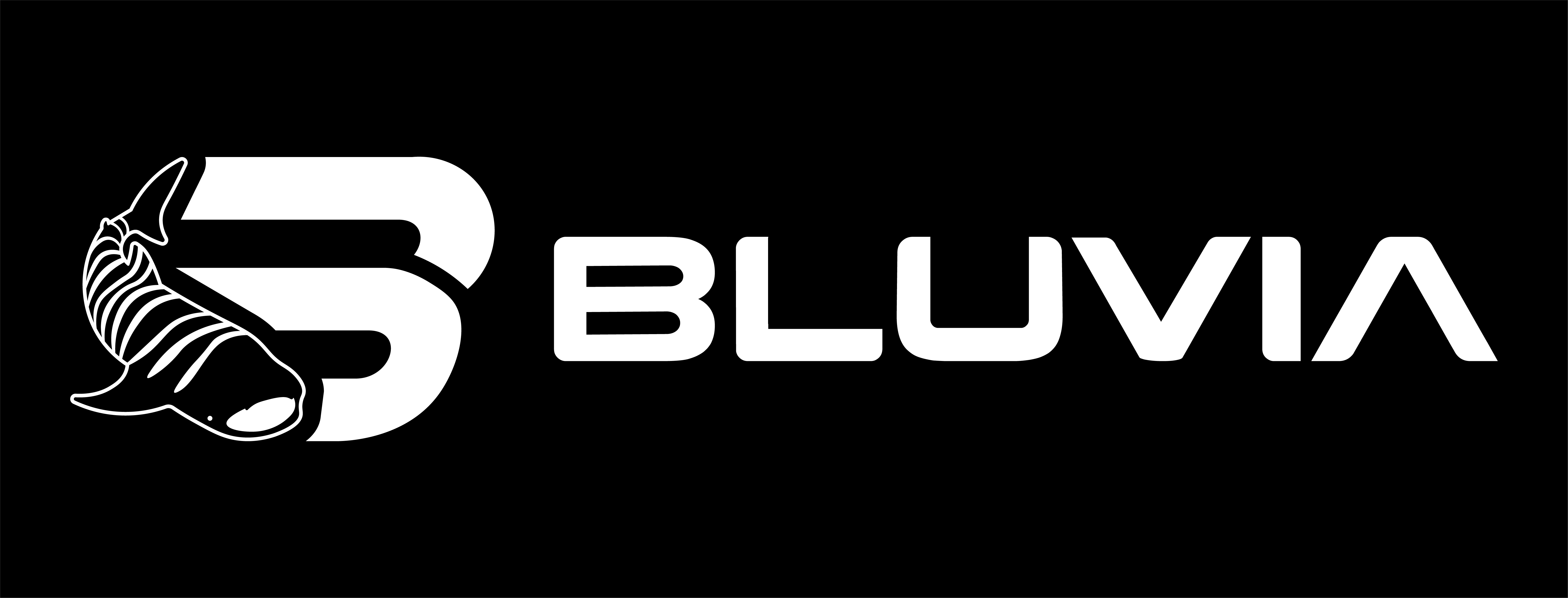 Bluvia